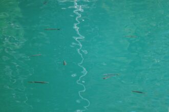 Photo undersea cable repeaters