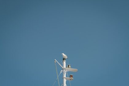 Photo cable surveillance