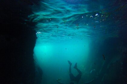 Photo undersea repeater