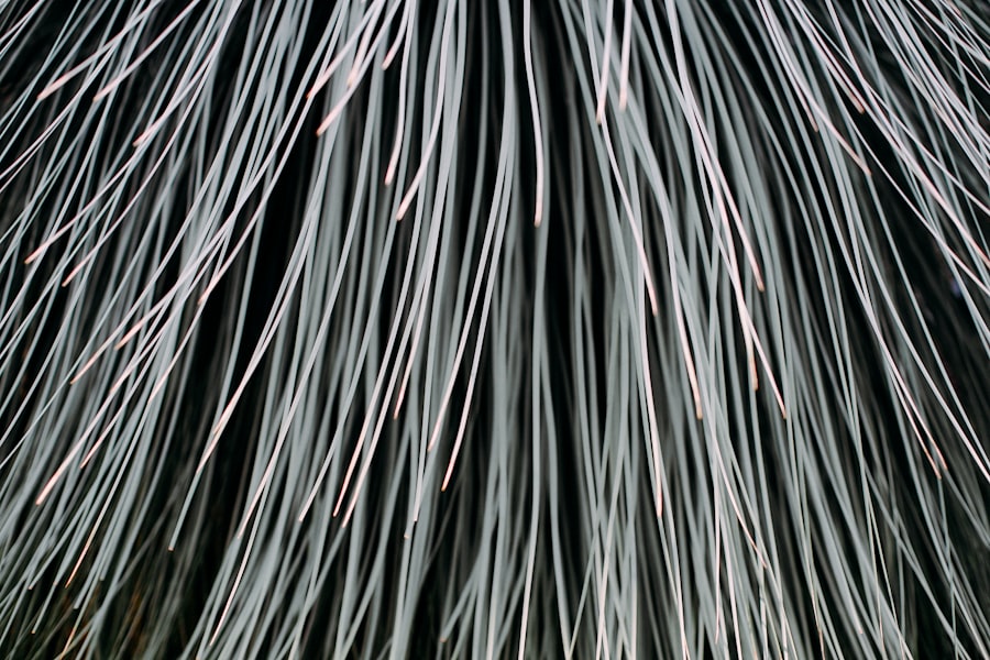 Photo fiber optic cable tapping