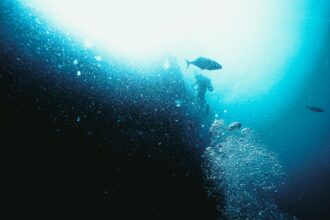 Photo saturation diving