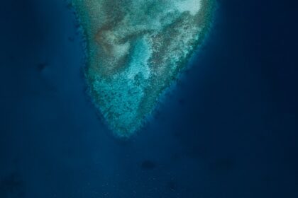 Photo deep sea surveillance