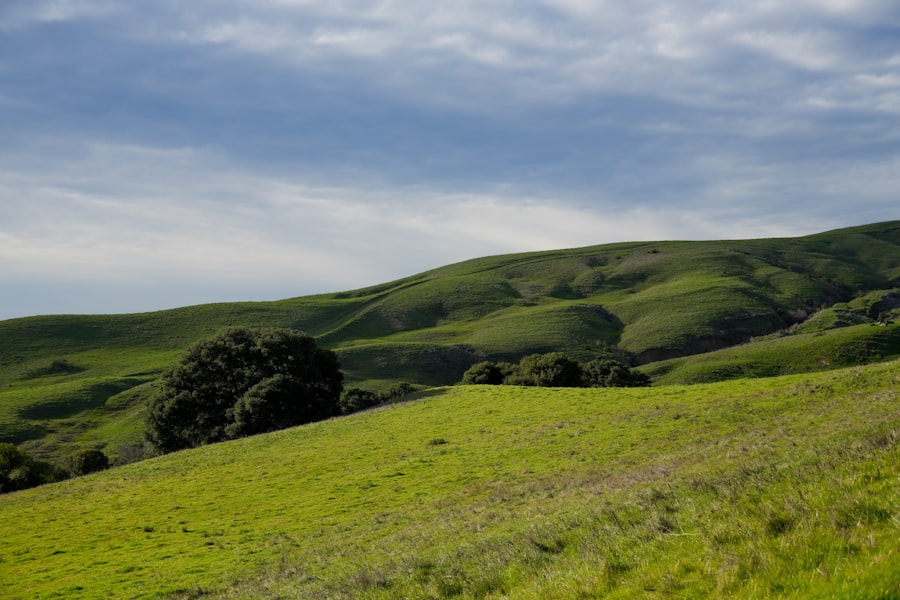 Photo california land act