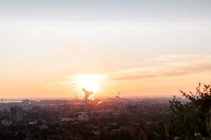 Photo economic impact