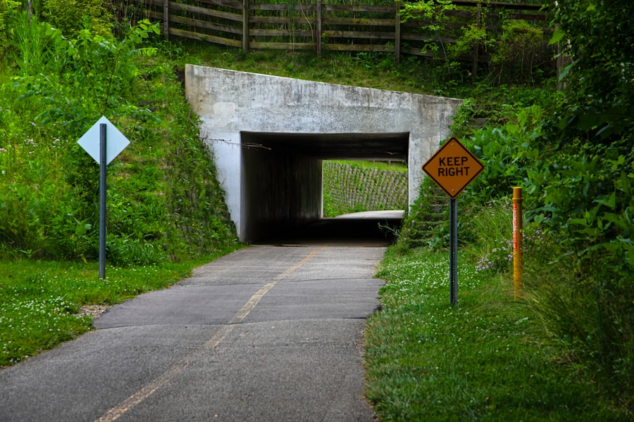 Photo regulatory guidance