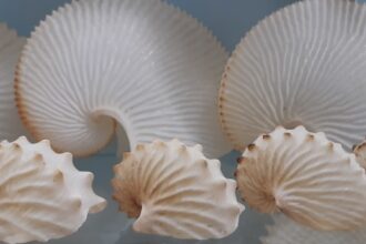 Photo polymer shells