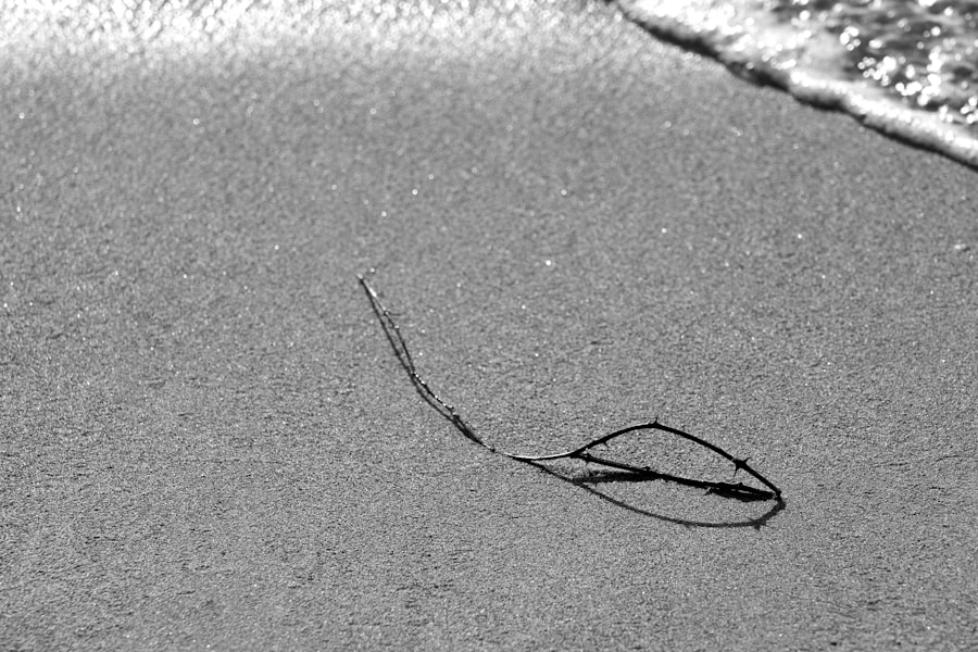 Photo sonar signature