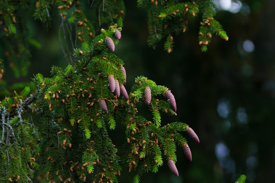 Photo ivy bells mole