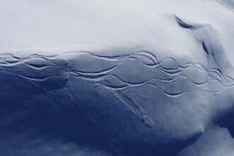 Photo submarine acoustic signatures