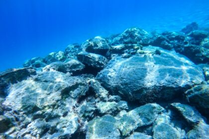 Photo undersea recovery technology