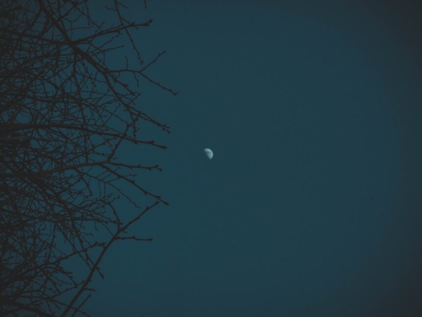 Photo moonshot
