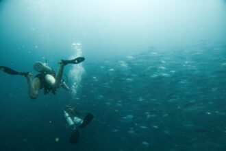 Photo underwater communication