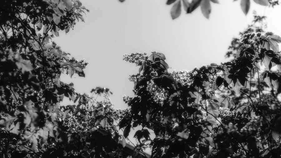 Photo Operation Ivy Bells