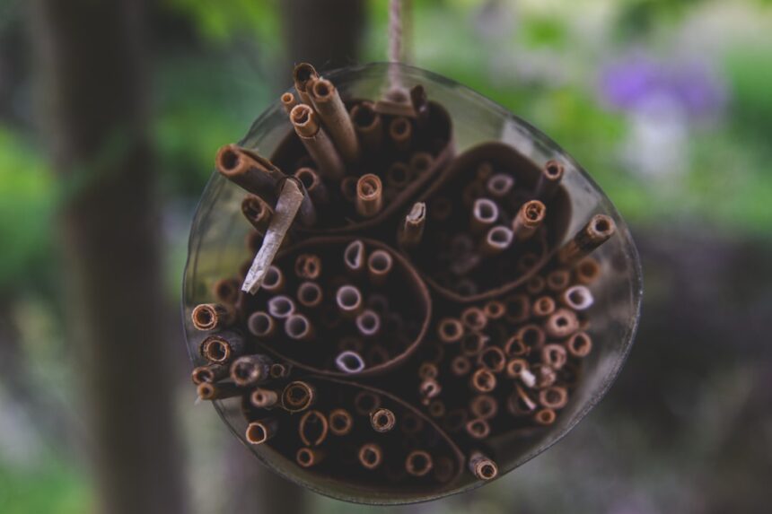 Photo Operation Ivy Bells documentary