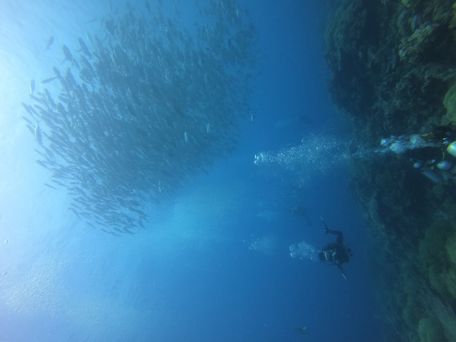 Photo saturation divers