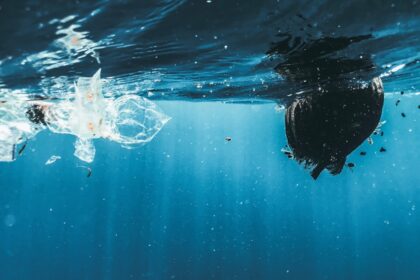 Photo underwater spy operations