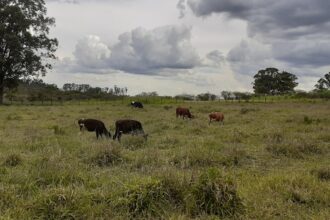 Photo Land ownership rights