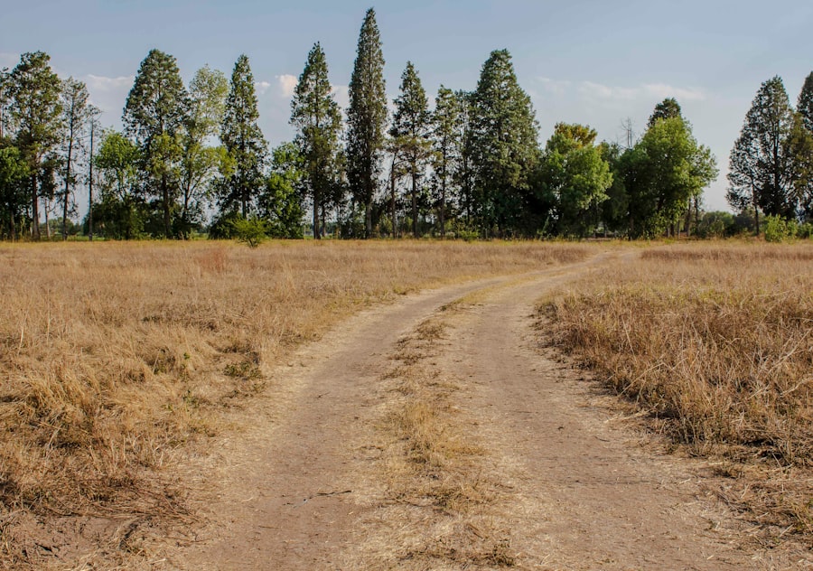 Photo Land ownership rights