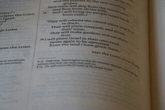 Photo First Amendment Rights