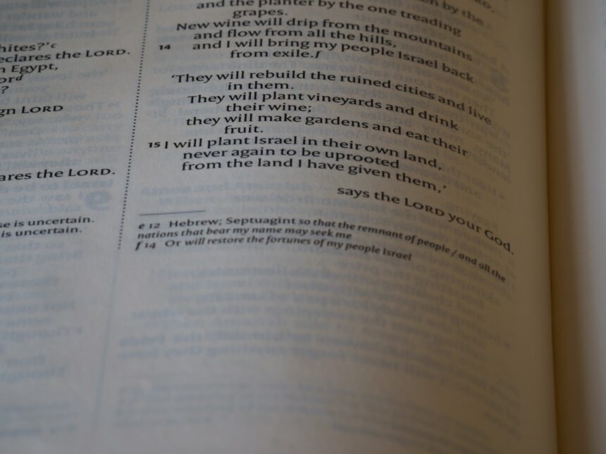 Photo First Amendment Rights