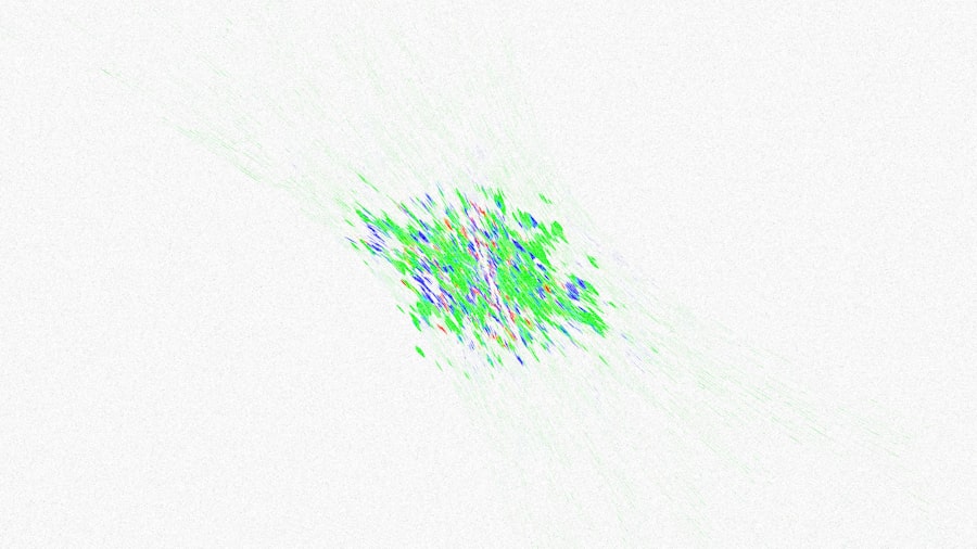 Metadata fingerprints