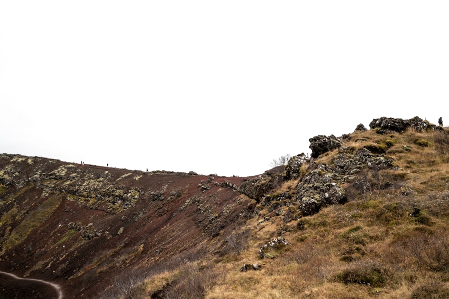 mendip hills decoy sites