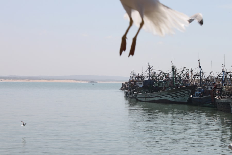 Navy cannibalization