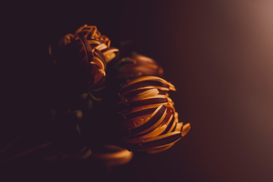 US Navy, paper tiger