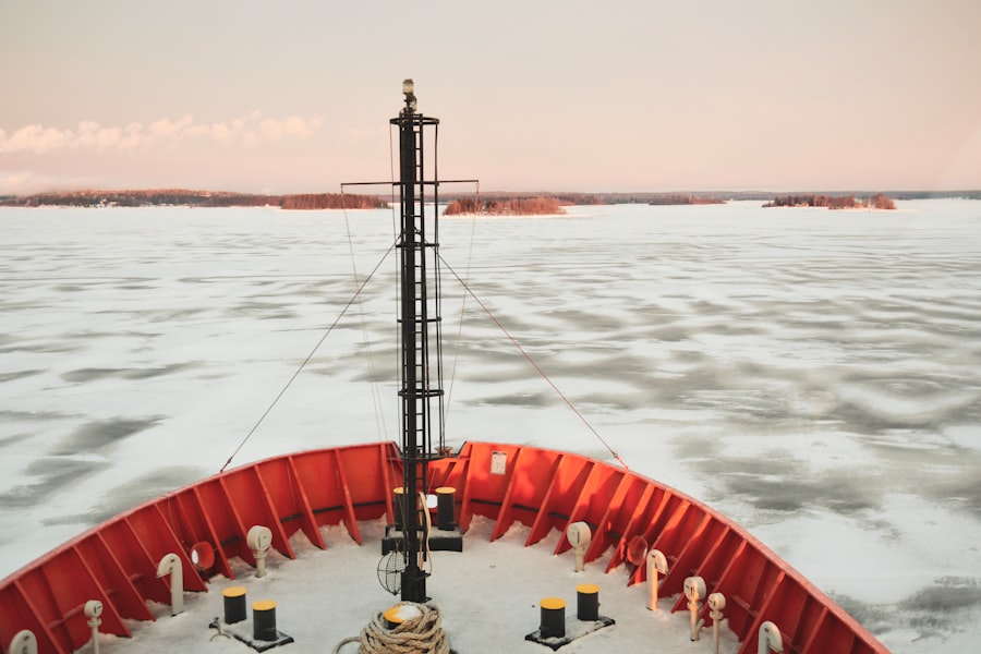 Antarctic oil reserves