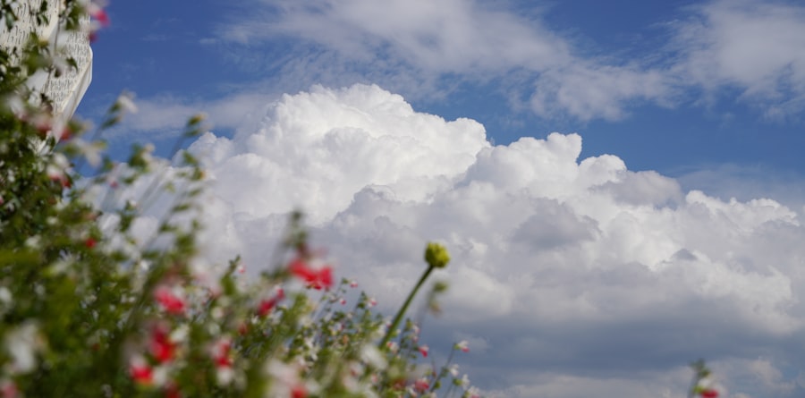 cloud seeding