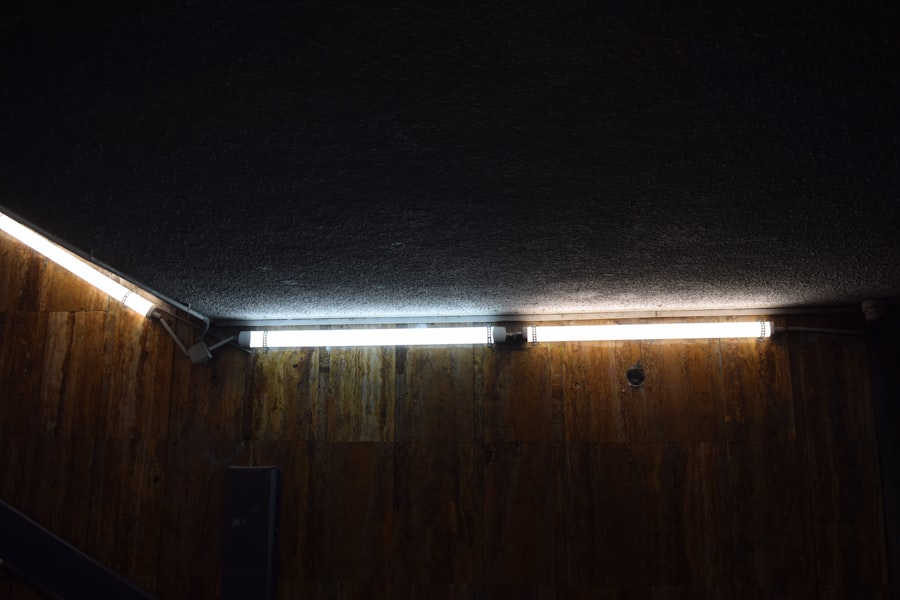 decoy lighting systems