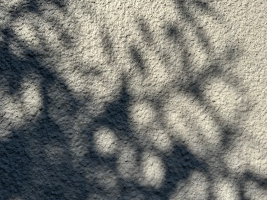 shadow map