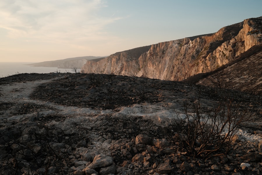 hitler scorched earth policy