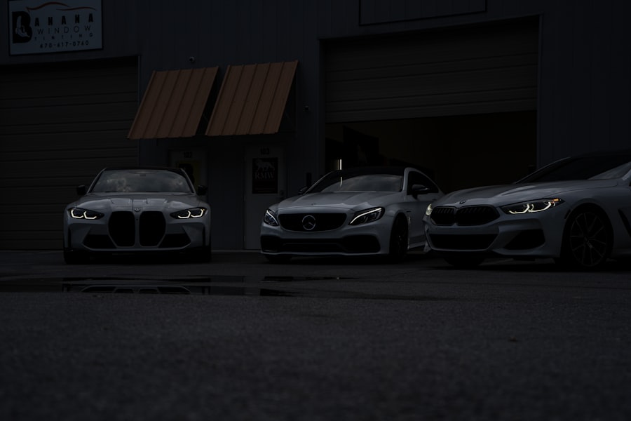escorts