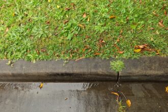 Photo drainage pump wear