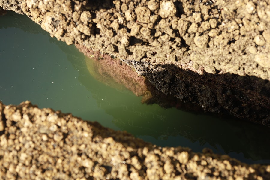 Photo sediment load problems