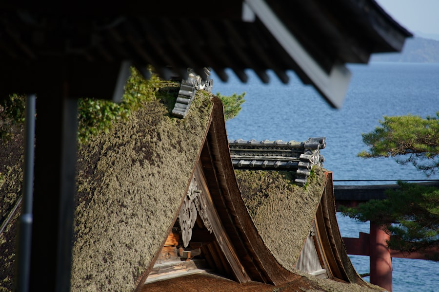 Photo battle of the beams