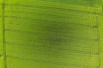 Photo chlorophyll tracking