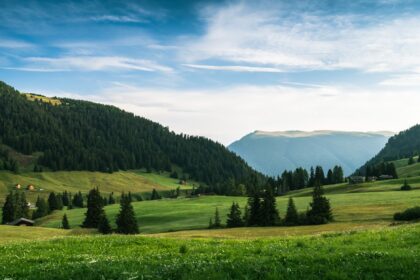 Photo sabotage
