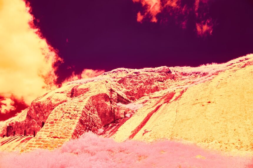 Photo stop scorched earth order