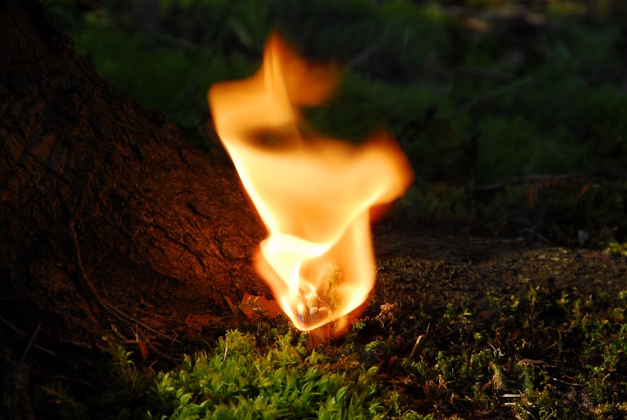 Photo stop scorched earth order