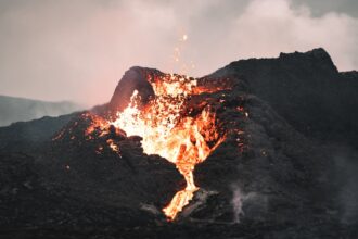 Photo hitler scorched earth policy