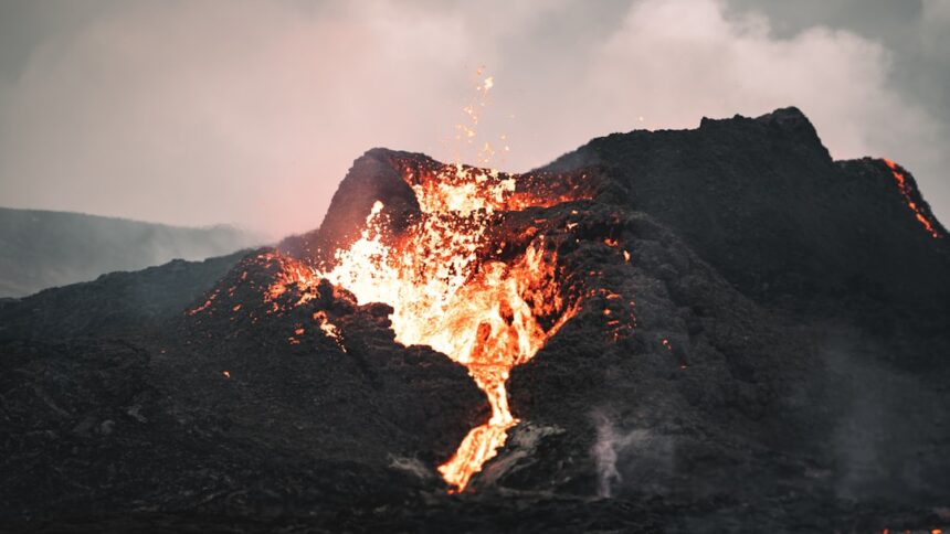 Photo hitler scorched earth policy