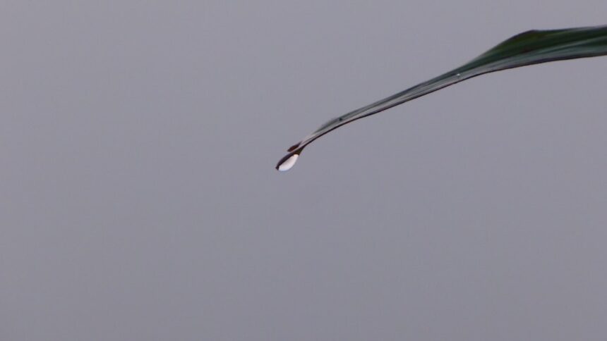 Photo zinc injection