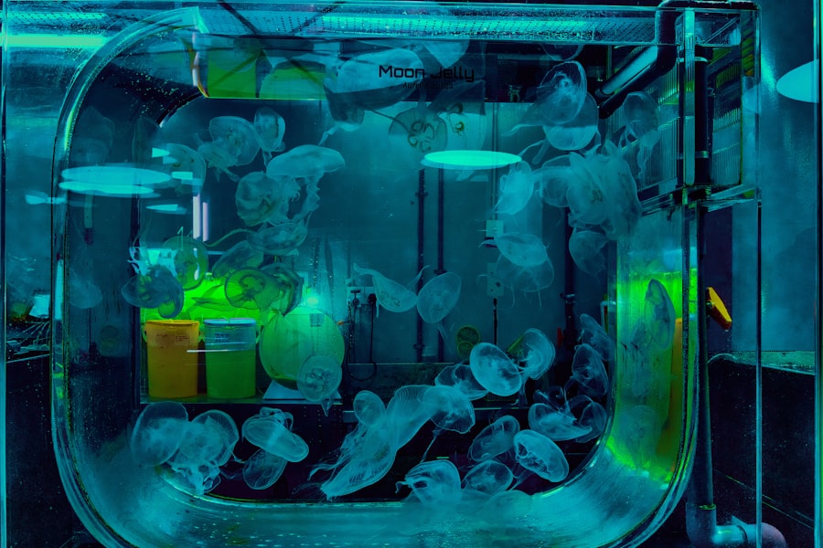 Photo nuclear reactor coolant chemistry