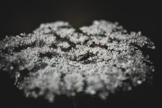 Photo lithium-7 isotope enrichment