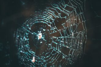 Photo Metadata fingerprints