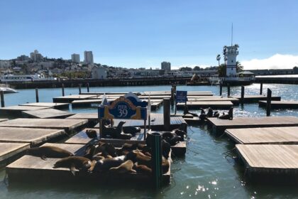 Photo dry dock outage