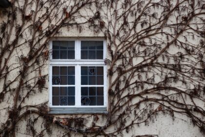 Photo data retention windows