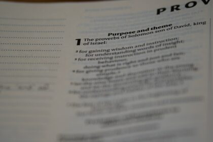 Photo Procurement rules